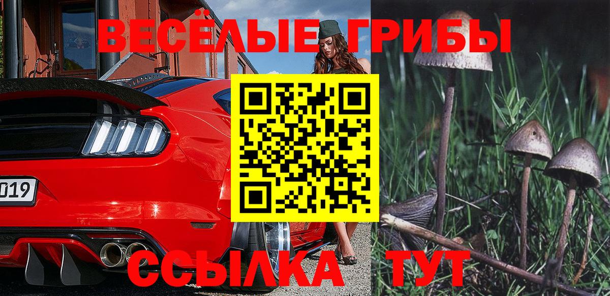 купить   Псилоцибиновые грибы Magic Shrooms  Псилоцибиновые грибы GOLDEN TEACHER  Вход с VPN  Клин 